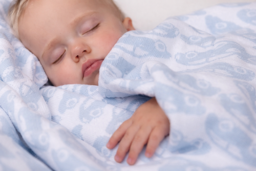 Organic cotton blanket SMALL CARS  75 x 100 cm