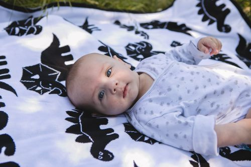 Organic cotton blanket DINOSAURS 100 x 130 cm